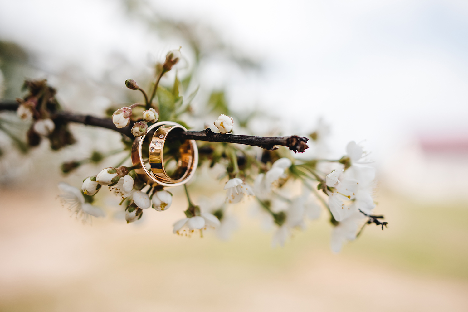 Pourquoi se marier au printemps ?