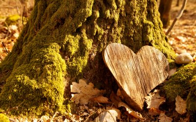 Funerals: We answer your questions