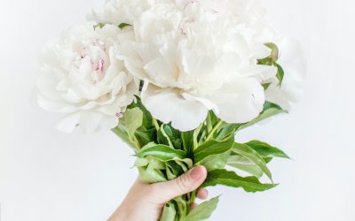 bouquet de fleur