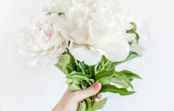 bouquet de fleur