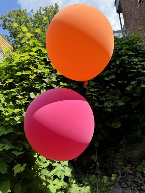 Ballons LUXE 24″ | Forfait pique-nique - Image 5