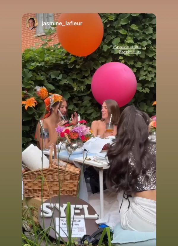 Ballons LUXE 24″ | Forfait pique-nique - Image 2